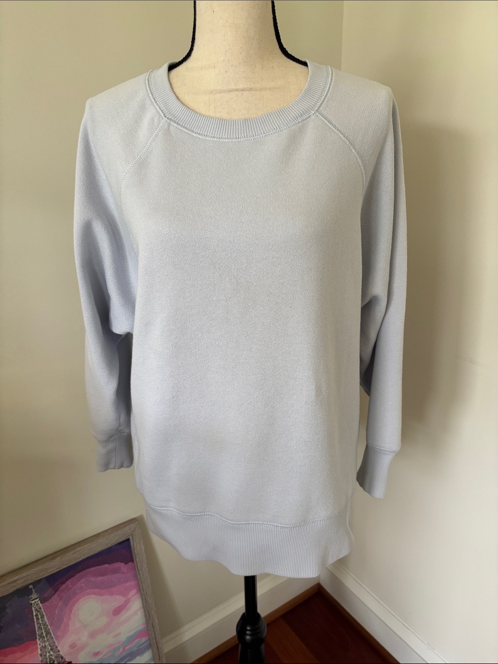 aerie Light Blue Crewneck Women's Sweater